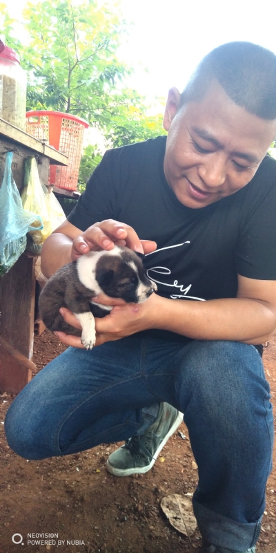 深圳相亲的第一张照片--江苏中老年相亲网