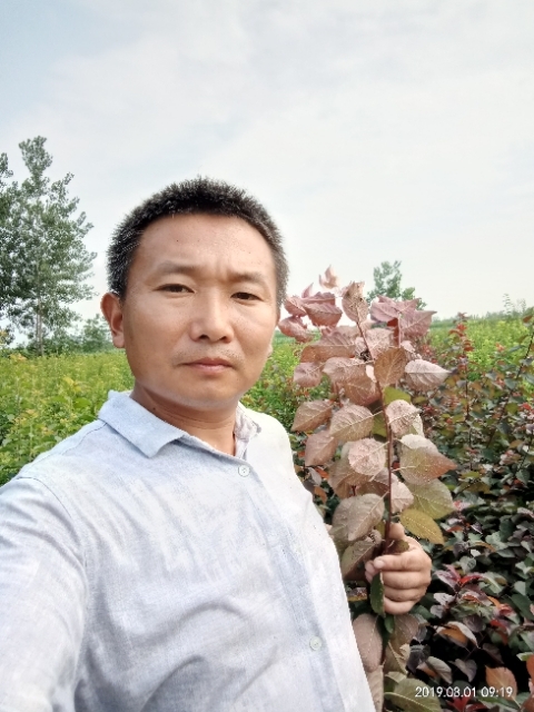 孩子爸的第一张照片--江苏中老年相亲网